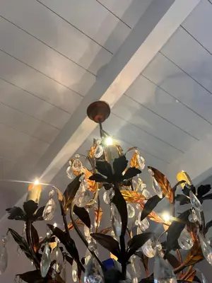 a chandelier is hanging from a ceiling at Bishopsfield Guesthouse Rondebosch in Cape Town