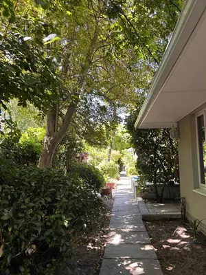 a sidewalk next to a house with a tree at Bishopsfield Guesthouse Rondebosch in Cape Town