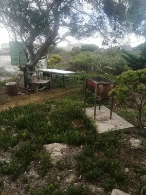 a bench and a picnic table under a tree at Avondsrus Guesthouse in Bettyʼs Bay