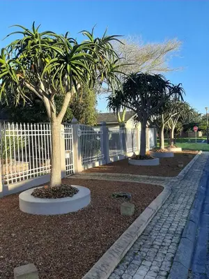 two palm trees in front of a white fence at Simply The Choice Manor in Cape Town