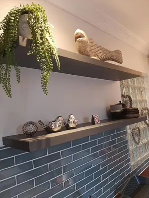 a shelf with plants and other items on it at Simply The Choice Manor in Cape Town