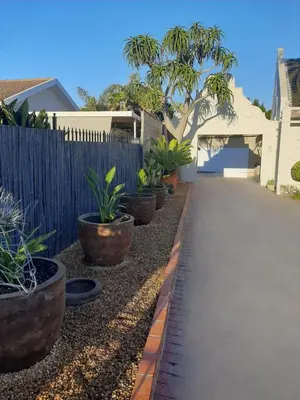 a row of potted plants in front of a fence at Simply The Choice Manor in Cape Town