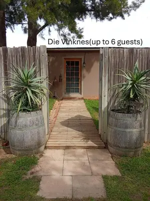 a house with two potted plants in front of a door at Groendraai PetFriendly SelfCatering Accommodation, Die Karoohuis, Die Wijnhuis and Die Vinknes