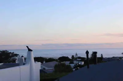 a bird sitting on the side of a white wall at Sunset sea views - 4 bedroom home in Hermanus
