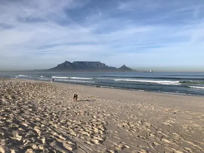 a dog walking on a beach with a mountain in the background at Cape on Porterfield in Cape Town