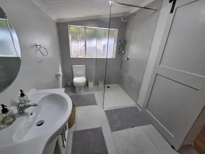 a bathroom with a shower and a sink and a toilet at SleepINN at Dumont in Paarl