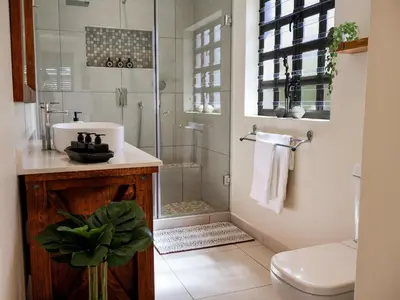a bathroom with a shower and a sink and a toilet at AFRICA WILD HERMANUS Luxury Self Catering Accommodation in Hermanus