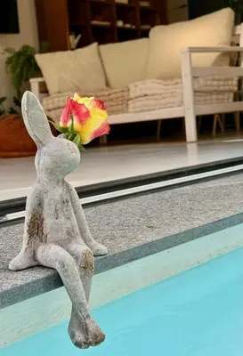 a statue of a rabbit sitting on a ledge with a flower at Tranquille Haven - serene escape in Franschhoek in Franschhoek