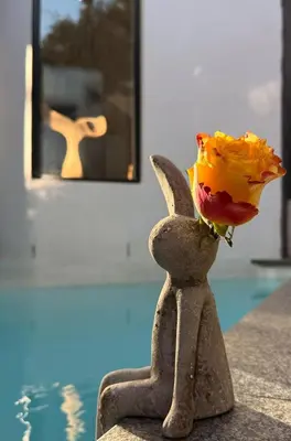 a statue of a person with a flower in its mouth at Tranquille Haven - serene escape in Franschhoek in Franschhoek