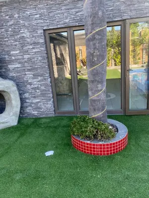 a pole in the grass in front of a building at Plattekloof Queens Guest House in Welgelegen