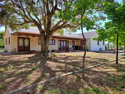 a house with a tree in front of it at Glengarry in Grabouw