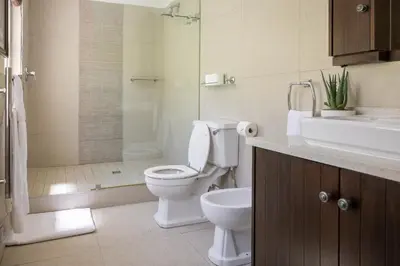 a bathroom with a toilet and a sink and a shower at La Petite Maison in Franschhoek