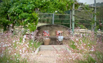 a bench in a garden with pink flowers at Rozendal Stay in Stellenbosch