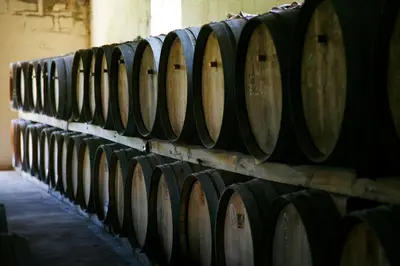 a row of wine barrels in a cellar at Rozendal Stay in Stellenbosch