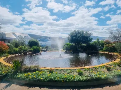 a pond in a garden with a fountain at Columbus Whales in Hermanus
