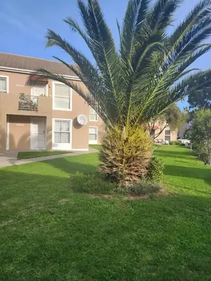 a palm tree in front of a house at 46 Atlanta - A Home away from Home in Strand