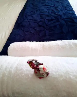 a toy turtle sitting on top of a bed at Le Bay Lodge in Gordonʼs Bay