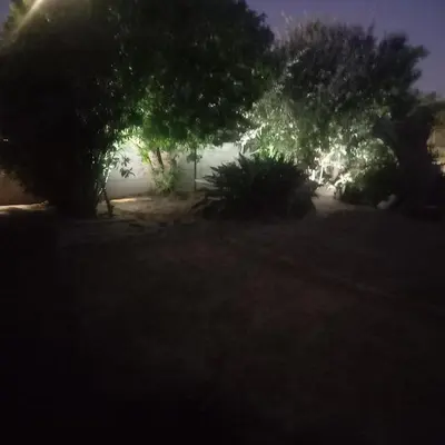 a view of a yard at night with trees at Forbes on Zastron in Cape Town