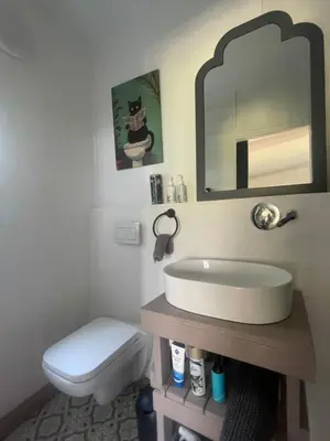 a bathroom with a sink and a toilet and a mirror at Waterberry Hideaway in Pringle Bay