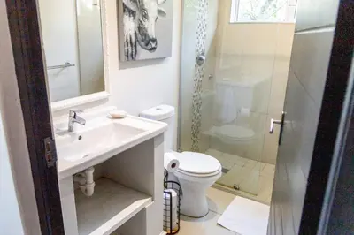 a bathroom with a sink and a toilet and a shower at Seagull Apartment Hermanus in Hermanus