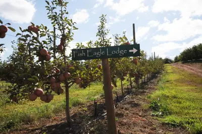 a sign in an apple orchard next to some trees at Galileo Farm in Elgin