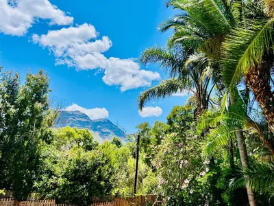 a group of palm trees with a mountain in the background at Sunny Poolside Escape in Somerset West in Somerset West