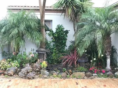 a garden with palm trees and flowers in front of a house at Bay Breeze Guesthouse Selfcatering in Gordonʼs Bay