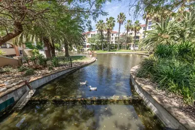 two ducks swimming in a pond in a park at St Tropez On Lake 302 The Island Club in Cape Town