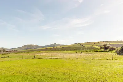 a field of green grass with hills in the background at Lovane Boutique Wine Estate and Guesthouse in Stellenbosch