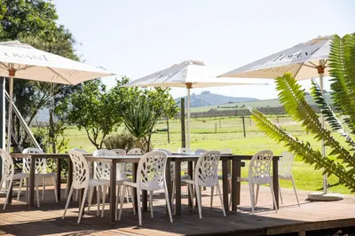 a table and chairs and umbrellas on a deck at Lovane Boutique Wine Estate and Guesthouse in Stellenbosch