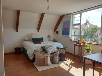 a bedroom with a bed with a cat laying on it at Cozy family home in Cape Town