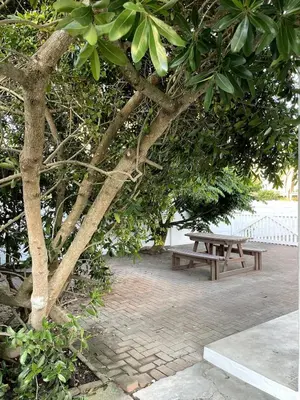 a picnic table and a bench under a tree at Secret Coastal Garden in Hermanus