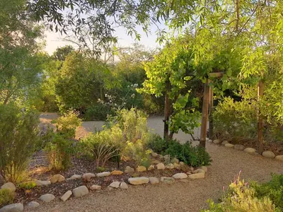 a garden with a bunch of plants and trees at Eensgevonden Vineyard Cottages in Rawsonville
