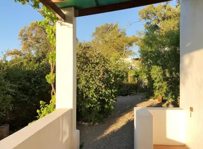 an open door to a garden with trees and bushes at Eensgevonden Vineyard Cottages in Rawsonville