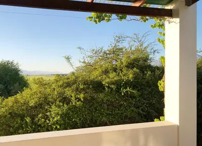 a view from the window of a house at Eensgevonden Vineyard Cottages in Rawsonville