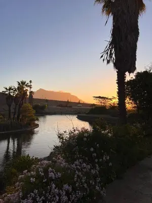a view of a river with a palm tree and flowers at Divine Apartment Century City in Cape Town