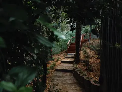 a stone path with a staircase in a garden at The Little Black Box in Somerset West