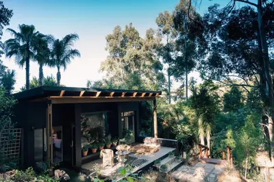 a house in the middle of a forest with palm trees at The Little Black Box in Somerset West