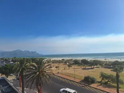 a view of a beach with palm trees and the ocean at Salted in Cape Town