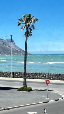 a stop sign in front of the ocean with a palm tree at Luxury Beach Front Apartment in Strand