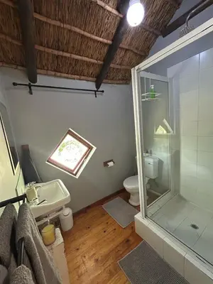 a bathroom with a glass shower and a toilet at The Little Thatch Cottage in Greyton