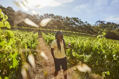 a woman standing in a field of crops at Protea Hotel by Marriott Stellenbosch & Conference Centre in Stellenbosch