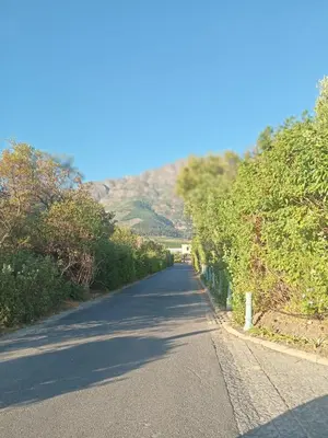 an empty road with trees on the side of a hill at L'Ermitage Villa Francois in Franschhoek