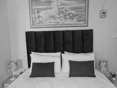 a black and white bedroom with a bed with two pillows at African Oasis Kenya in Somerset West