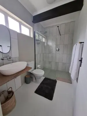 a bathroom with a sink and a toilet and a shower at Embrace This Planet Self-Catering Accommodation in Fisherhaven