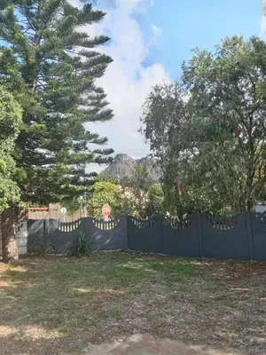 a fence in front of a yard with a tree at Starfish Cottage in Kleinmond