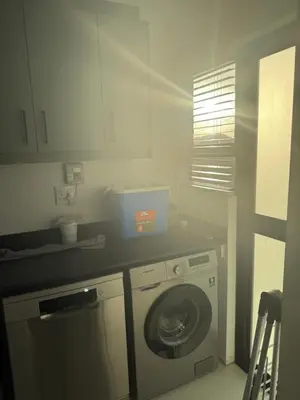 a kitchen with a washing machine and a counter at Mountain View 2-Bedroom Home Near the Beach in Pringle Bay in Pringle Bay