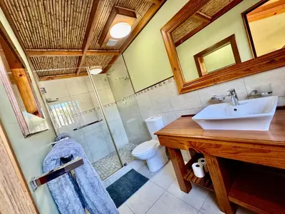 a bathroom with a sink and a shower at Egret's Lookout in Cape Town