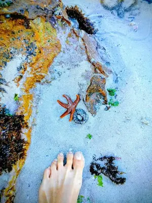a person standing on the beach with their feet in the sand at Take A Break in Bettyʼs Bay
