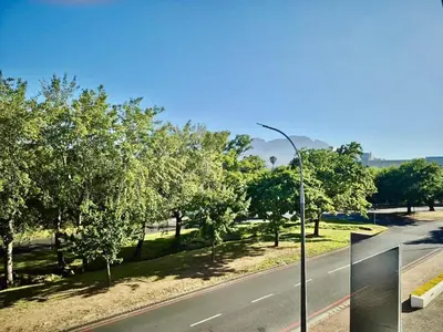 a street light on the side of a road with trees at 10 at The Alxndr - Stellenbosch Central in Stellenbosch